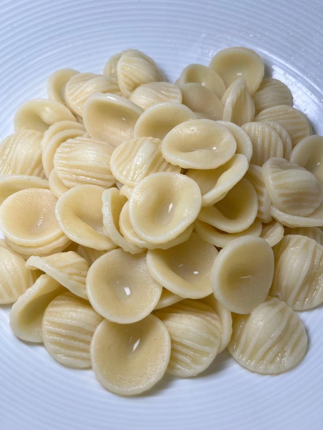 【短意粉】Orecchiette 貓耳朵 - 1000g *抵食